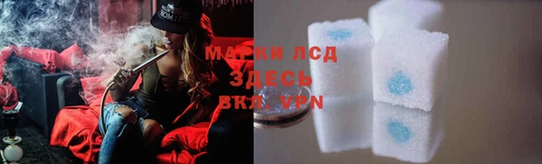 стафф Алексин