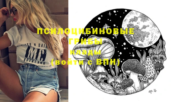 стафф Алексин
